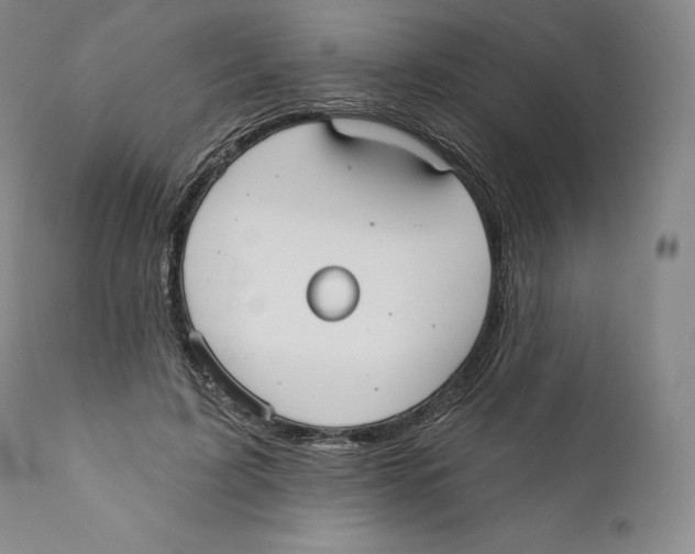 X0000110720595200907101406