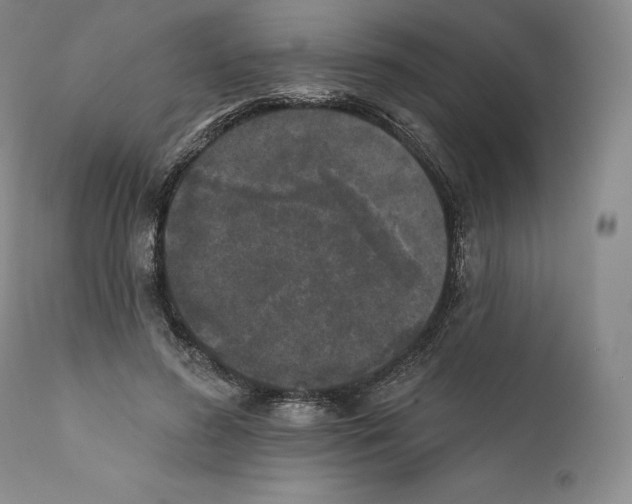 X0000110720596200907101406