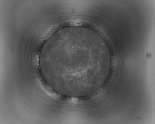 X0000110720598200907101406