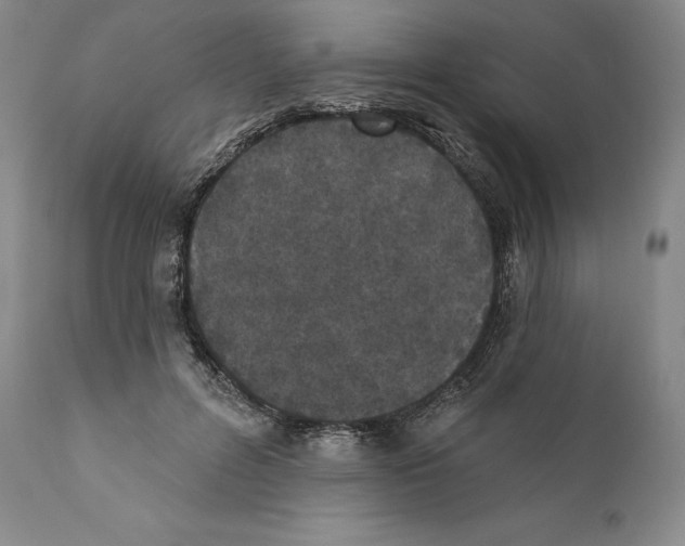 X0000110720600200907101406