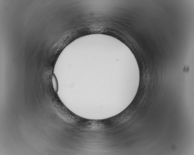 X0000110720601200907101406