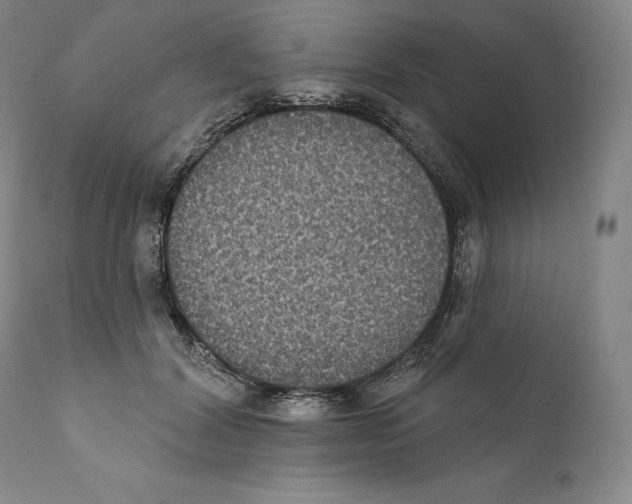 X0000110720604200907101406