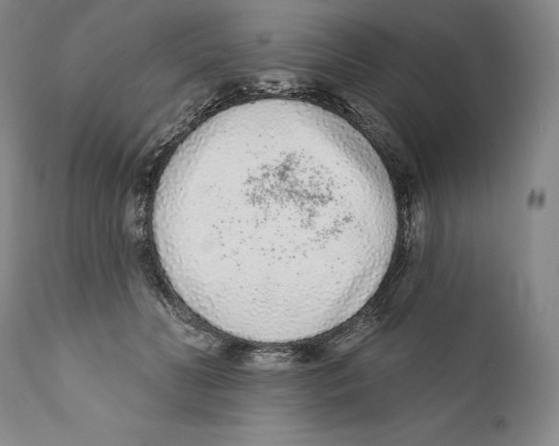 X0000110720606200907101406