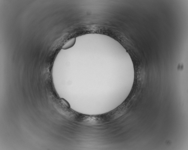 X0000110720611200907101406