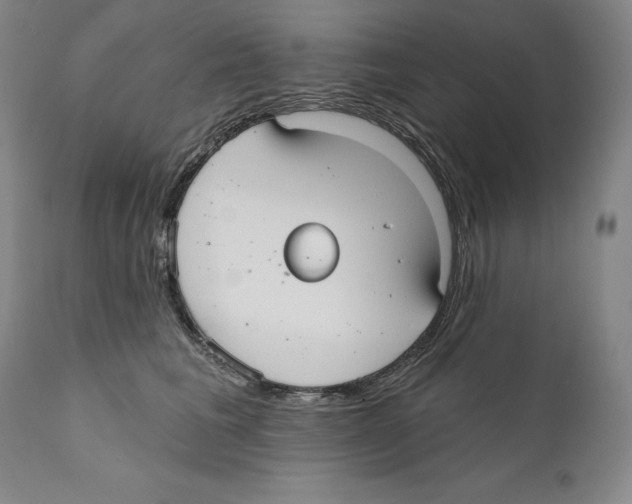 X0000110720613200907101405