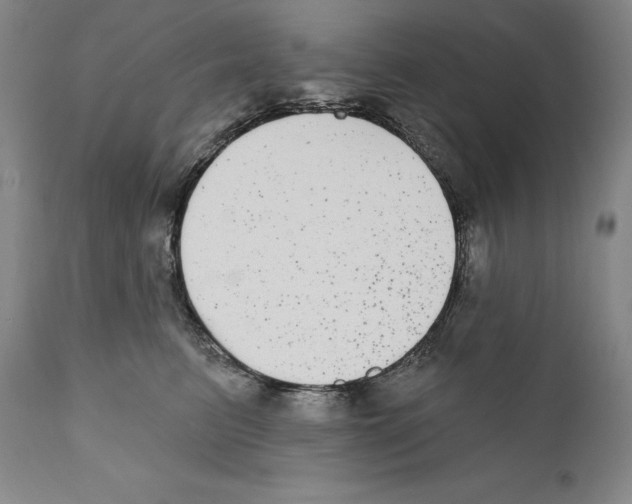 X0000110720615200907101405