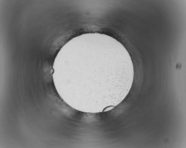 X0000110720624200907101405