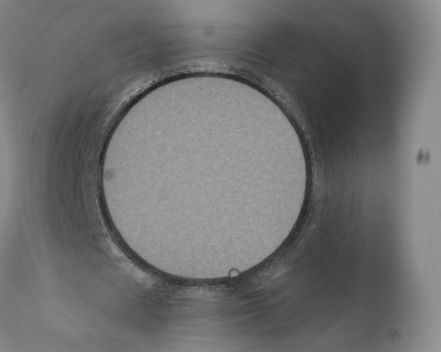 X0000110720625200907101405