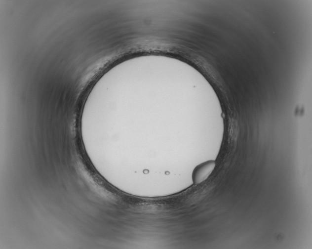 X0000110720629200907101405