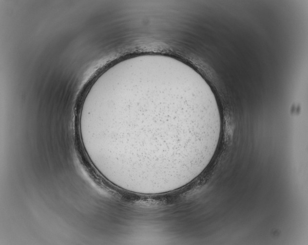 X0000110720630200907101405