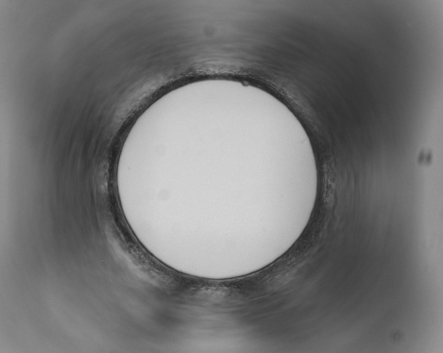 X0000110720631200907101405