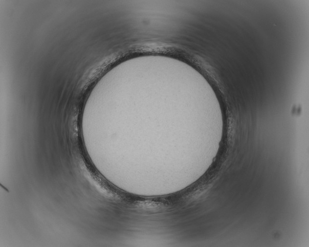 X0000110720633200907101405