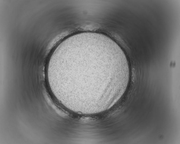 X0000110720634200907101405