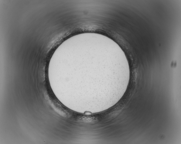 X0000110720638200907101405