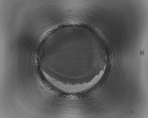 X0000110720640200907101405