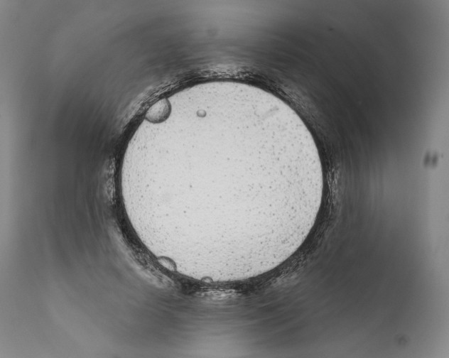 X0000110720642200907101405