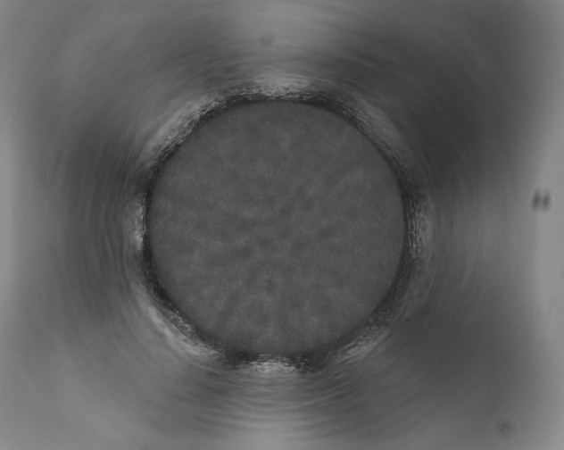 X0000110720644200907101405