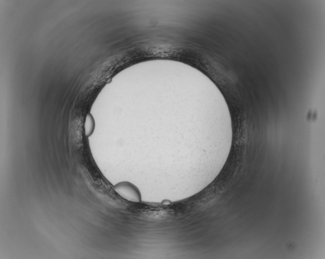 X0000110720646200907101405