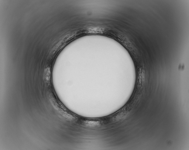 X0000110720649200907101405