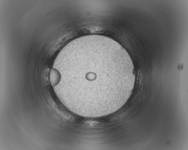 X0000110720650200907101405