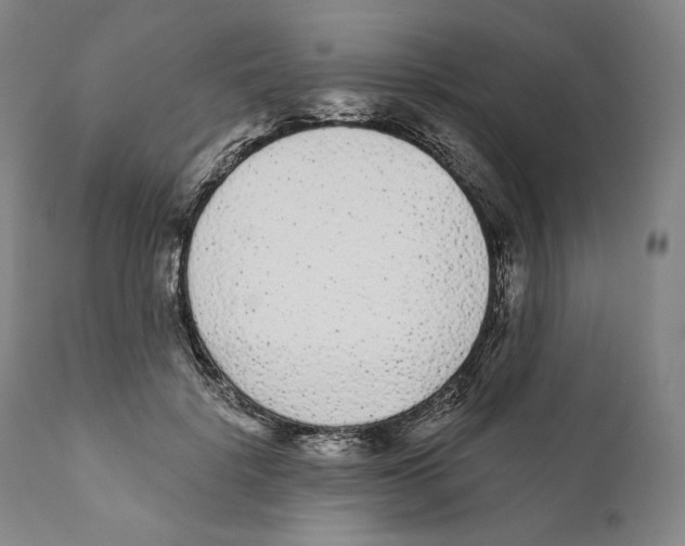 X0000110720652200907101405