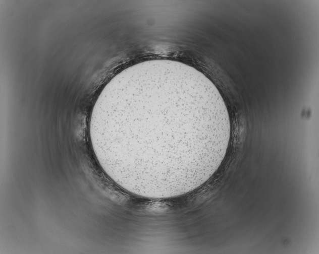 X0000110720656200907101405