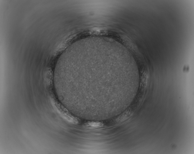 X0000110720659200907101405