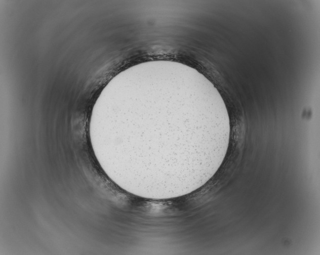 X0000110720662200907101405