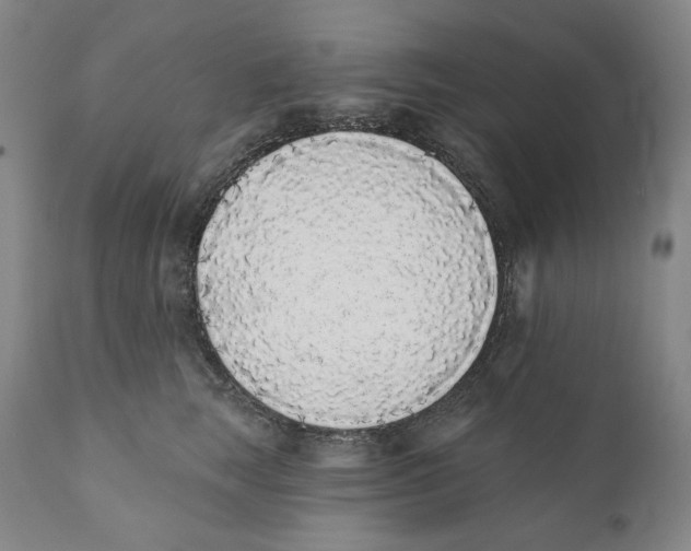 X0000110720663200907101405