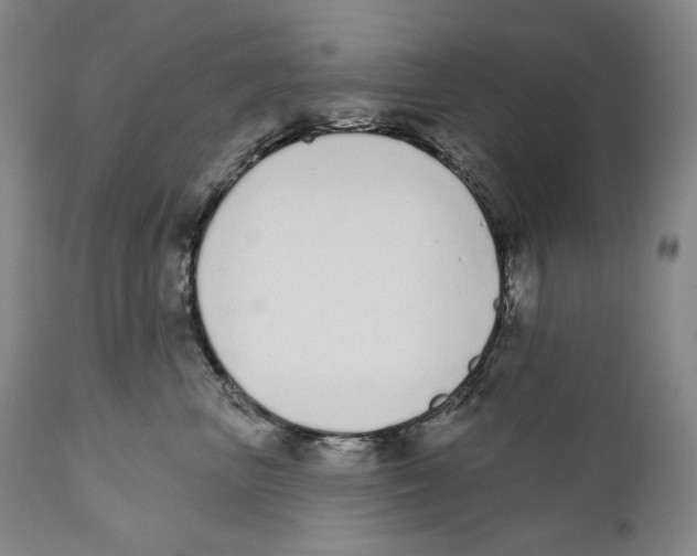 X0000110720667200907101405