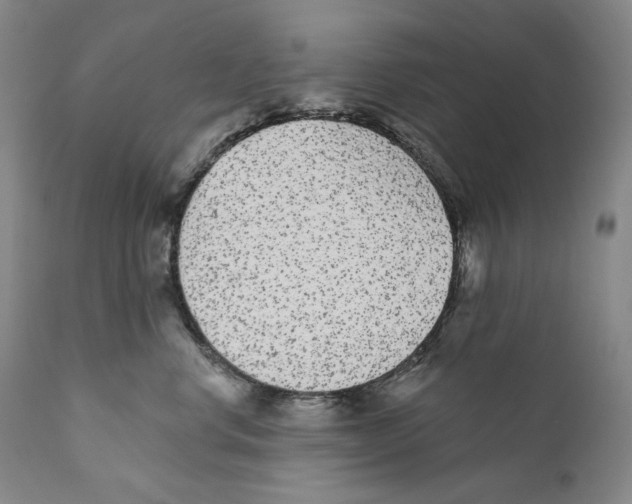 X0000110720668200907101405