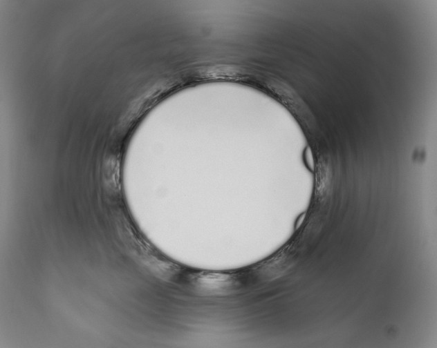 X0000110720669200907101405