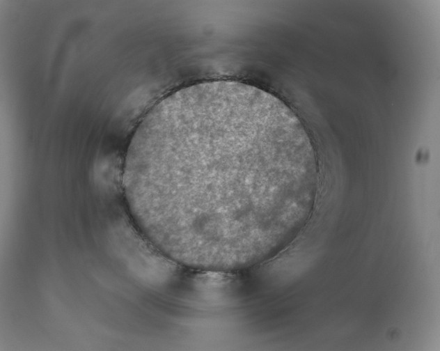 X0000110720672200907101405