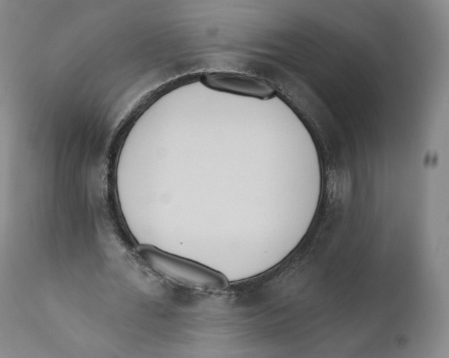 X0000110720676200907101405