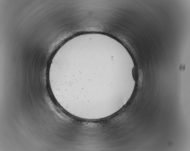 X0000110720677200907101405