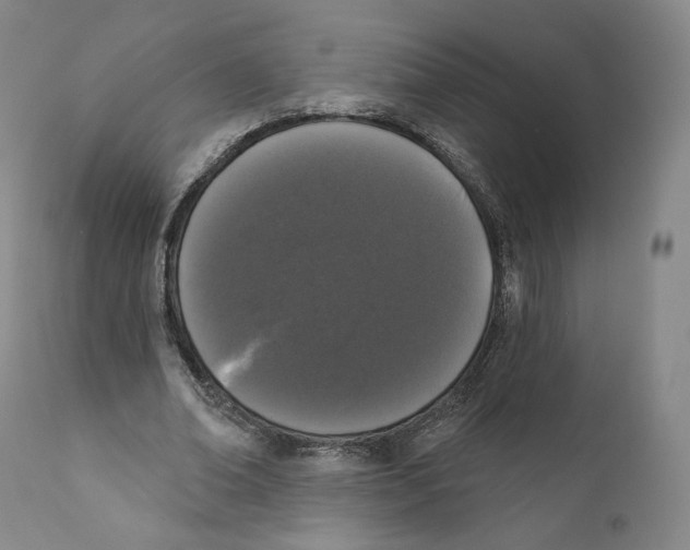 X0000110720678200907101405