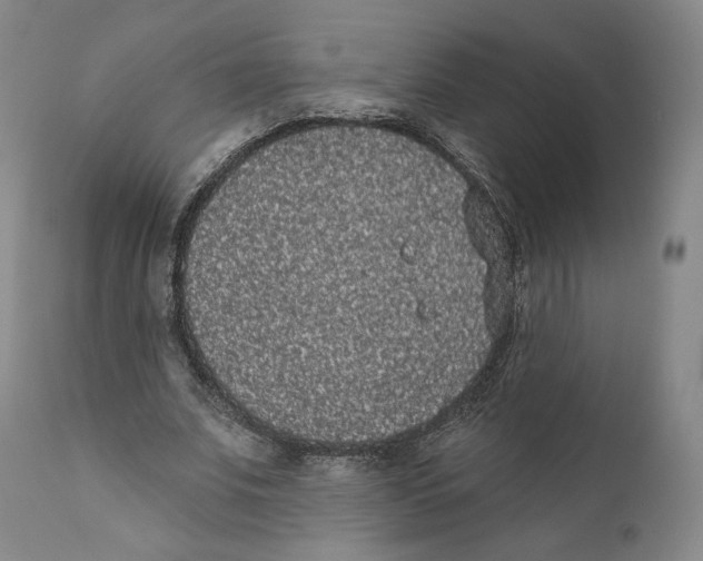 X0000110720679200907101404