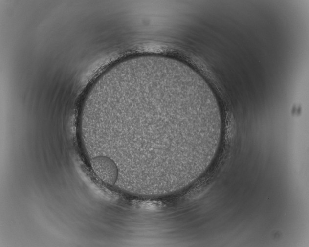 X0000110720683200907101404