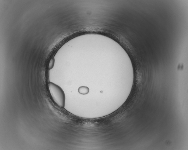 X0000110720684200907101404