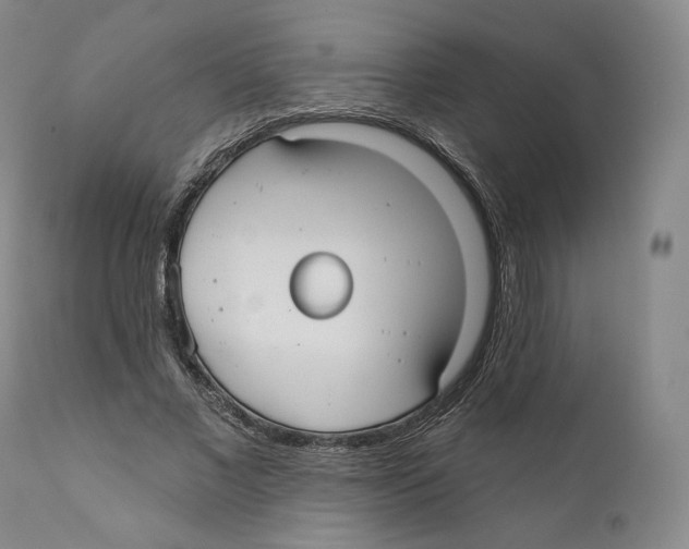 X0000110720685200907101404