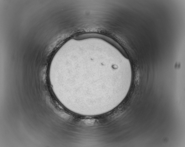 X0000110720687200907101404