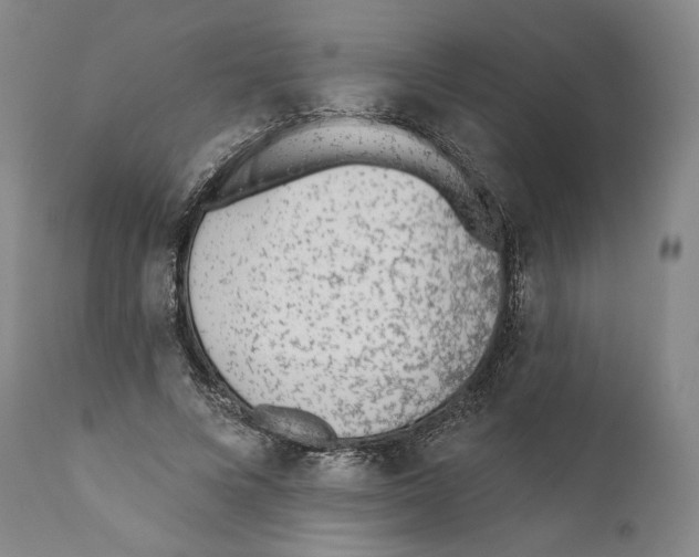 X0000110720688200907101404