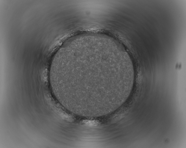 X0000110720689200907101404