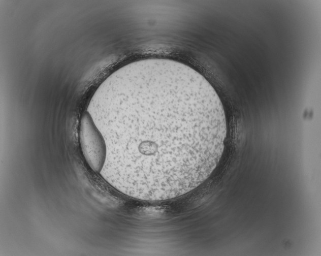 X0000110720692200907101404