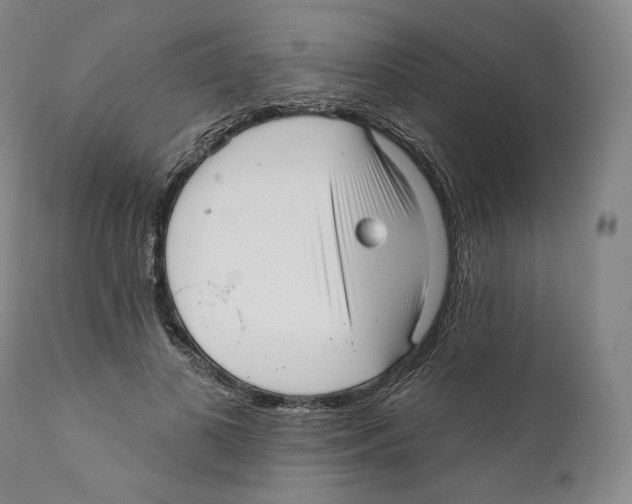 X0000110720693200907101404