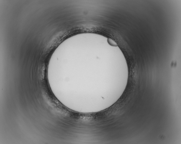 X0000110720694200907101404