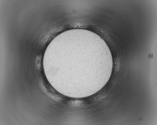 X0000110720695200907101404