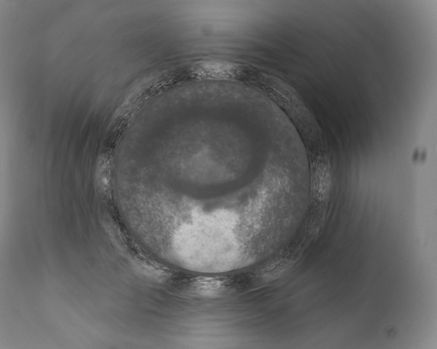 X0000110720701200907101404