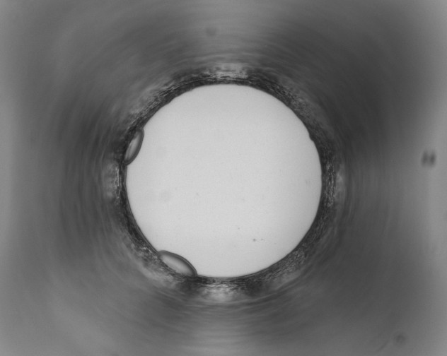 X0000110720704200907101404