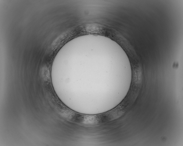 X0000110720705200907101404